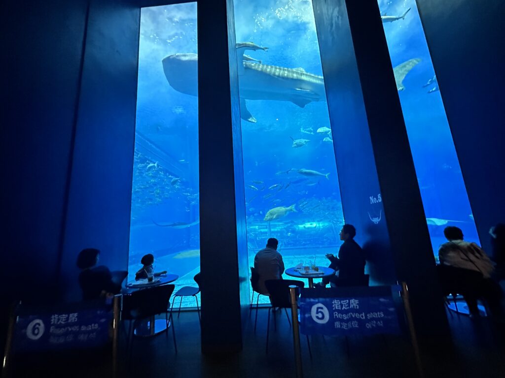 美ら海水族館　沖縄県　名護　観光スポット　オーシャンビューカフェ　レストラン