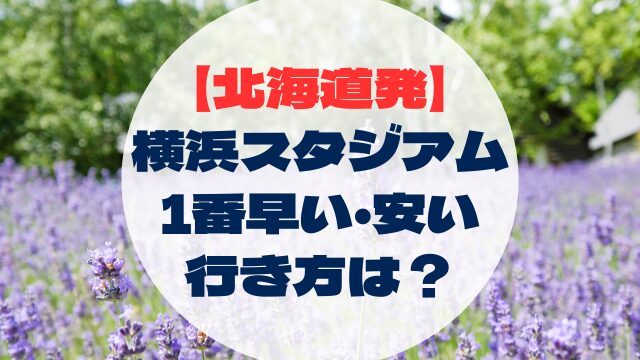 横浜DeNA横浜ベイスターズ　ディーエヌエー　横浜スタジアム　ハマスタ　行き方　アクセス　早い　安い　北海道から　北海道発